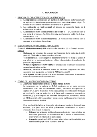 REPLICACION-TRANSCRIPCION-Y-TRADUCCION-1.pdf