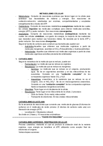 METABOLISMO-CELULAR-1.pdf