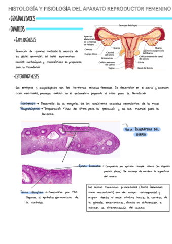 Aparato-reproductor-femenino.pdf