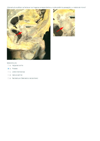 CICLO-03.pdf