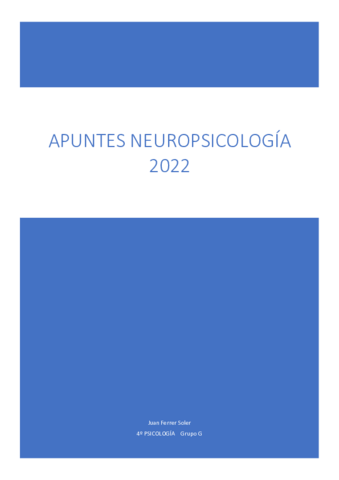 Apuntes-Neuropsicologia-2022.pdf