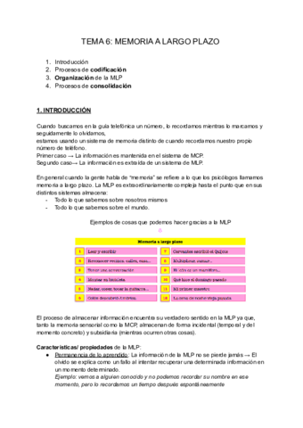 TEMA-6-MEMORIA-A-LARGO-PLAZO.pdf