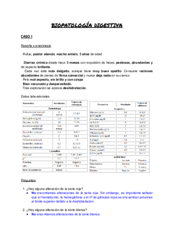 SEMINARIOS-PROPE-II-1.pdf