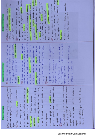 practicas-bloques-7-8-y-9.pdf