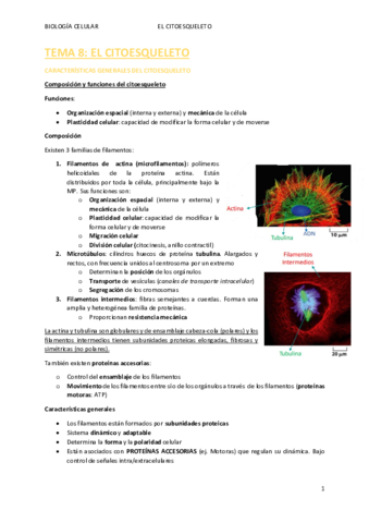 TEMA-8.pdf