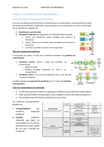 TEMA-2.pdf