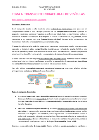 TEMA-6.pdf