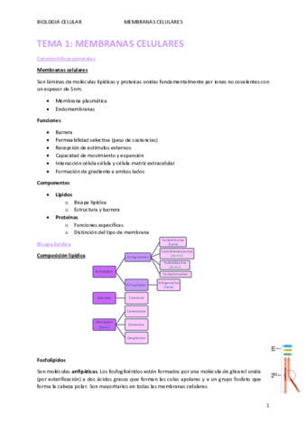 TEMA-1.pdf