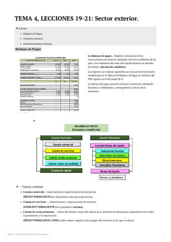 TEMA4LECCIONES19-21Sectorexterior.pdf