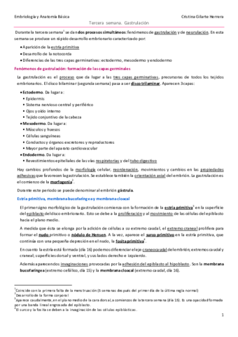 embriología.pdf