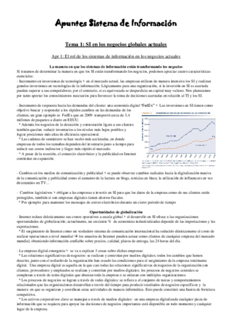 Apuntes Sistema de Información.pdf