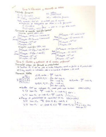Formulas-tema-4-7.pdf