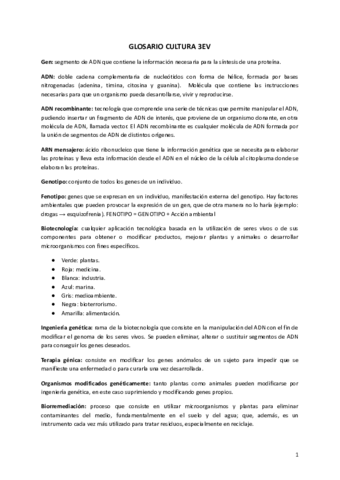Glosario-cultura-3EV.pdf