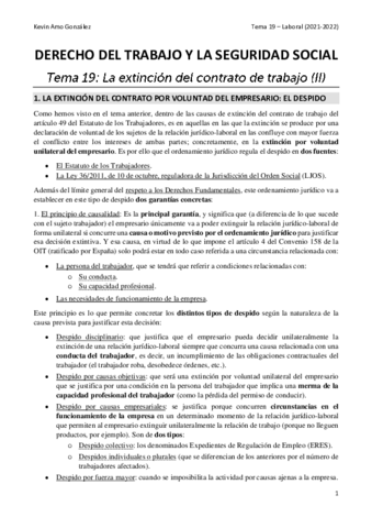 Tema-19-Laboral.pdf