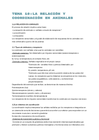 Documento-sin-titulo.pdf