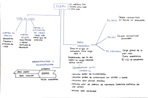 esquema-cuero.pdf