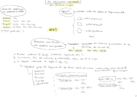 Esquemas formulación orgánica.pdf