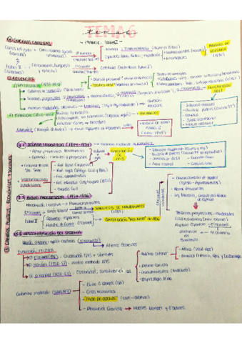 Escaneado-20220206-1102.pdf