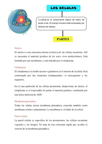 LAS-CELULAS-.pdf