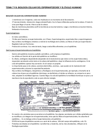 TEMAS-7-Y-8.pdf