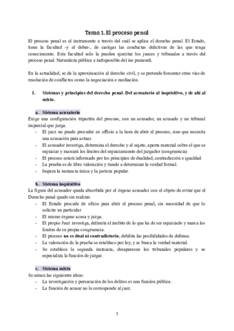 Temario-procesal.pdf