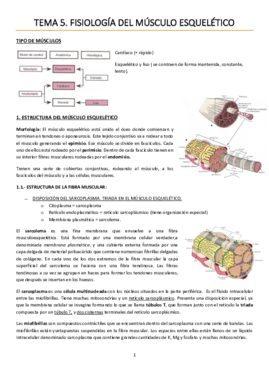 TEMA 5. Fisiología del músculo esquelético.pdf