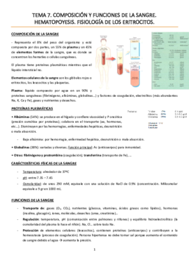 TEMA 7. Composición y funciones de la sangre. Hematopoyesis. Fisiología de los eritrocitos.pdf
