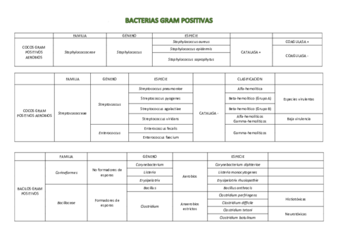 BACTERIAS.pdf