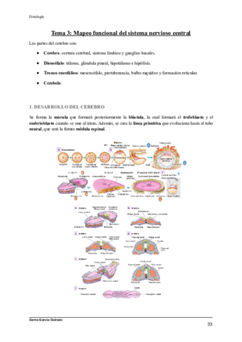 TEMA-3-MAPEO-FUNCIONAL-DEL-SISTEMA-NERVIOSO-CENTRAL-FISIOLOGIA.pdf