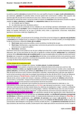 Estructura-social-apuntes.pdf