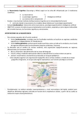 RESUMEN-1-11.pdf