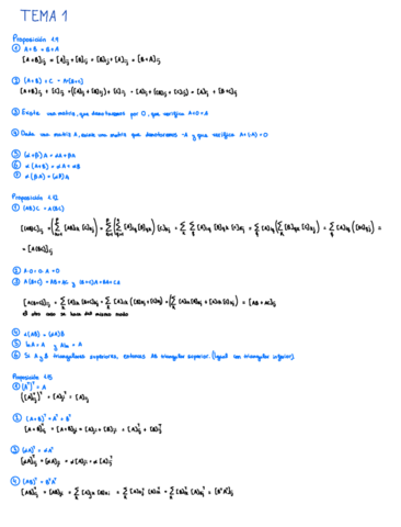 Proposiciones-Algebra-y-Geometria-.pdf
