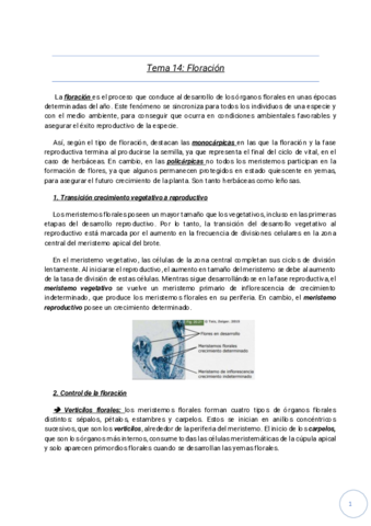 Temas-14-15-16-17-18.pdf