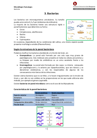 3-Bacterias.pdf
