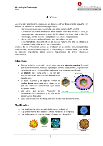 4-Virus.pdf