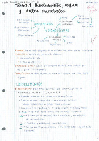T1-Bioelementos-agua-y-sales-minerales.pdf