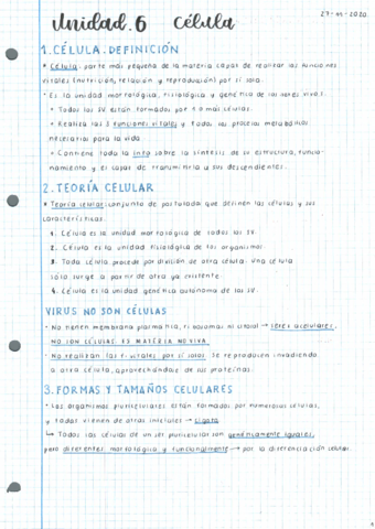 T6-La-celula.pdf