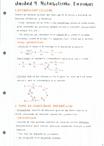 T9-Metabolismo.pdf