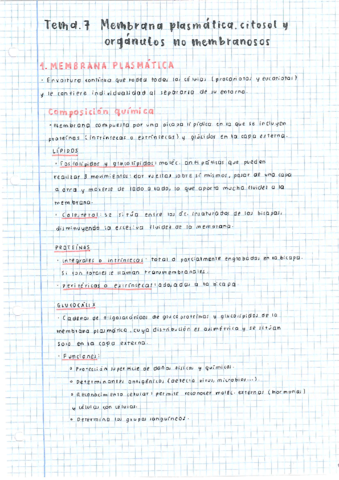 T7-Membrana-plasmatica-citosol-y-organulos-no-membranosos.pdf