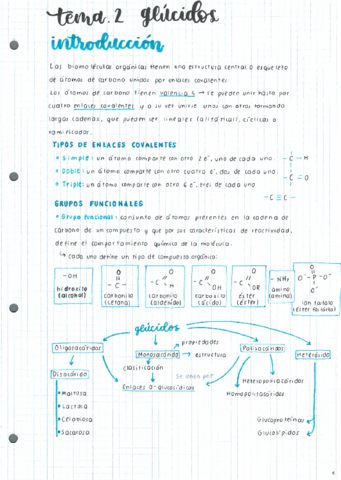 T2-Glucidos.pdf
