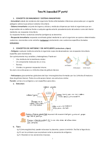 T14-Inmunidad.pdf