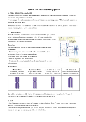 T12-ADN.pdf