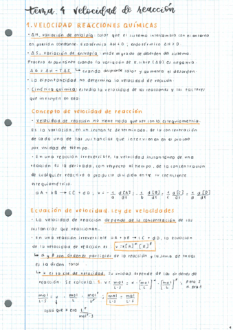 T4.pdf