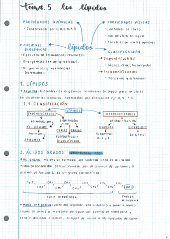 T5-Lipidos.pdf