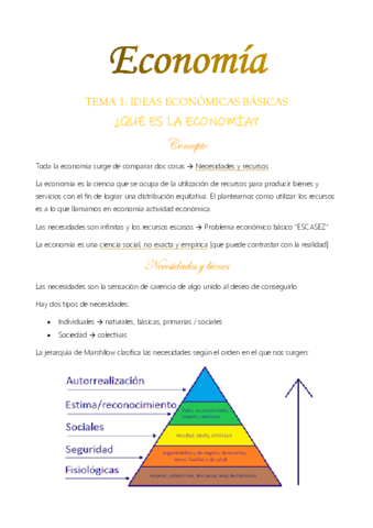 TEMA-1-Ideas-economicas-basicas.pdf