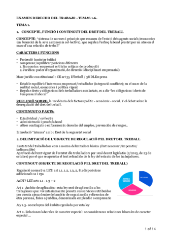 APUNTES-TODO-DCHO-TRABAJO.pdf