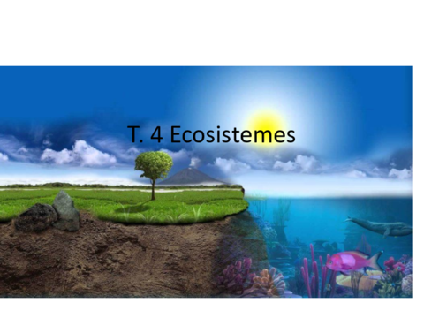 T.pdf