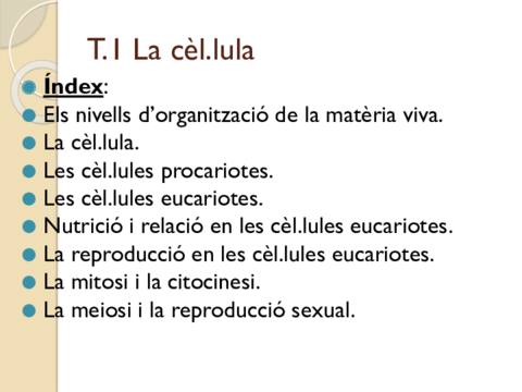 T.pdf