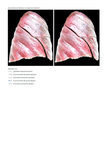 CICLO-02.pdf