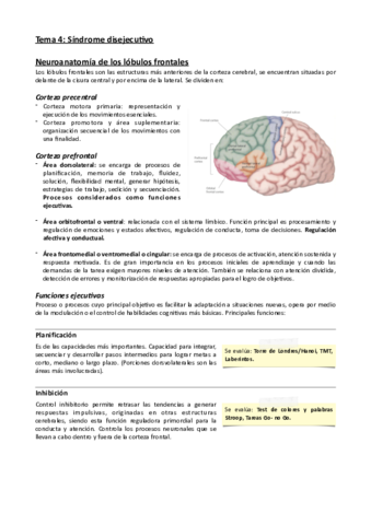 Tema-4-Sindrome-disejecutivo.pdf